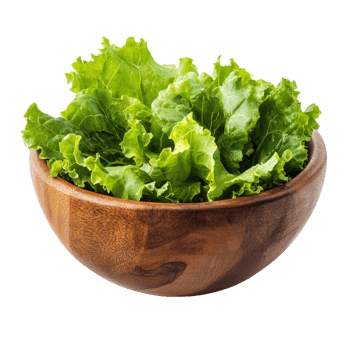 Fresh green lettuce leaves in a wooden bowl isolated on a clean transparent background for healthy eating, Lettuce leaves in wood bowl isolated on transparent background png