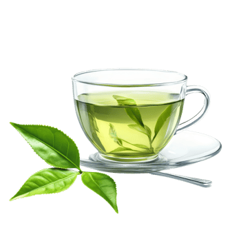 Refreshing green tea served in a clear glass cup with tea leaves on a transparent background, green tea isolated on transparent background png