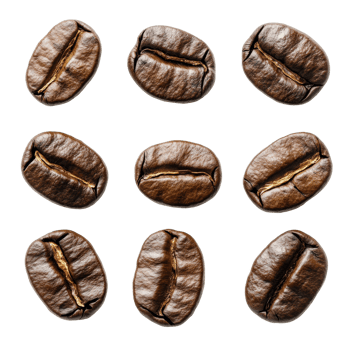 Coffee beans arranged in a grid on a transparent background showcasing their rich texture and deep brown color, coffee beans isolated on transparent background png