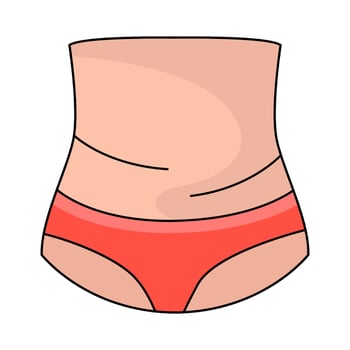 illustration of Human Belly vector
