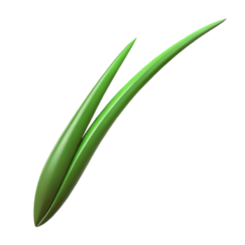dramatic classic Single blade of grass authentic png