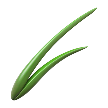 stunning contemporary Single blade of grass detailed png