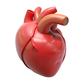 dramatic traditional Human heart, detailed png