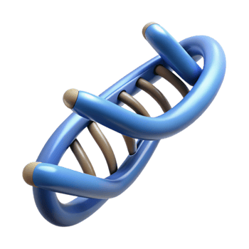 vibrant traditional DNA double helix, professional png