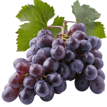 Fresh and Juicy Purple Grapes with Dew Drops on Green Leaves in Natural Light png