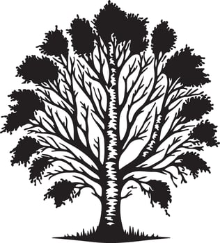 The unique black and white silhouette of a tree for you vector