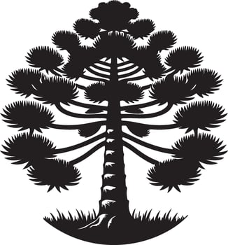 The black and white illustration of a pine tree vector