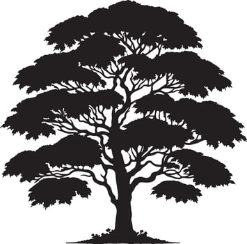 black and white silhouette of a tree for your design vector