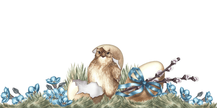The frame border of forget-me-nots, an Easter egg and a hatched chicken. A hand-drawn watercolor illustration. For greeting cards and Easter invitations. For packaging, labels and posters. png