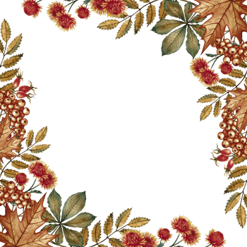 A frame with autumn leaves, flowers, mountain ash and other autumn elements. Handmade watercolor illustration. Color image, for greeting and invitation cards, banners and posters,flyers. png