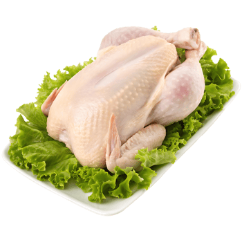 Whole raw chicken on a bed of lettuce. png