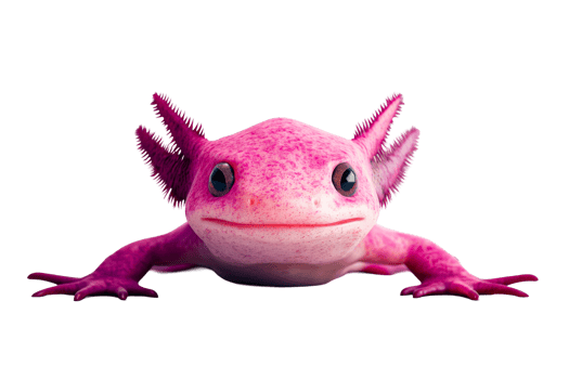 Colorful axolotl with vibrant pink hue on transparent background png