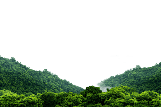 Lush green mountains with misty valley in serene nature setting png