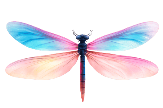 Colorful dragonfly with transparent wings and vibrant details png