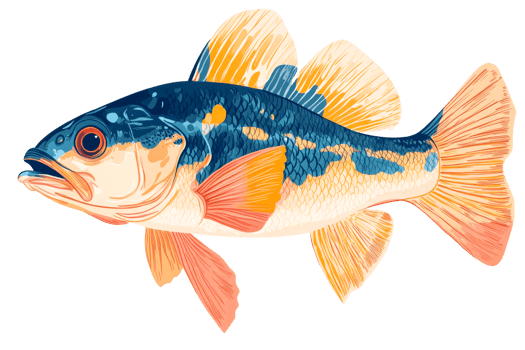 Colorful illustration of a freshwater fish with vibrant features png