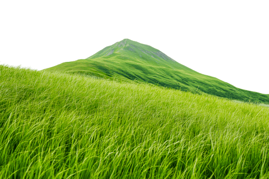 Lush green grass fields with a mountain backdrop in sunny weather png