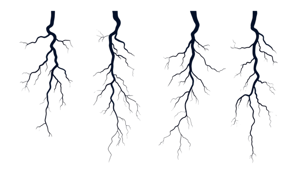 Dark tree branches with a transparent background for design use png