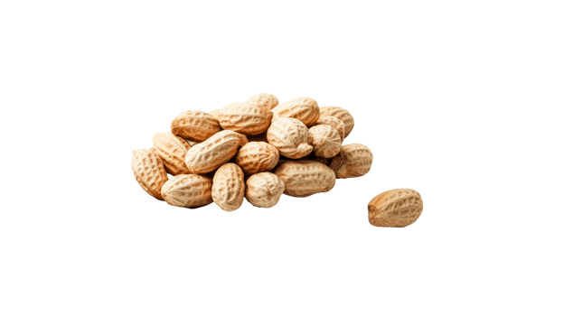 Group of Fresh Peanuts, Pile of Peanuts, cut out transparent png