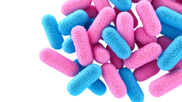 Pink and blue fluffy pills. Fluffy bacteria and black background, cut out transparent png
