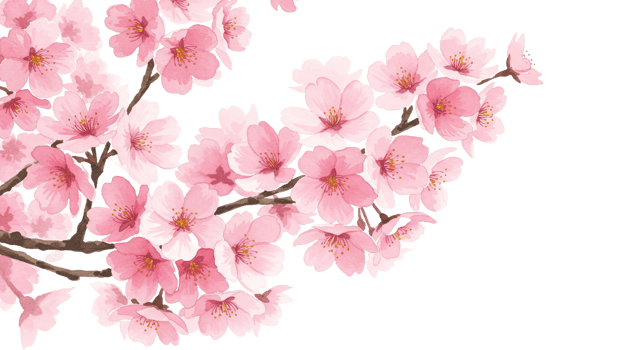 A pink cherry blossom tree with white flowers png