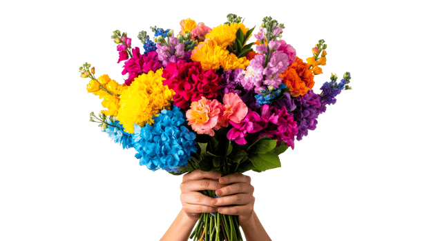 Beautiful vibrant bouquet of flowers in hand, colorful blooms, cut out transparent png