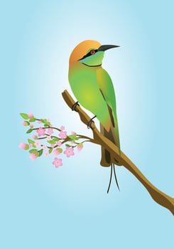 An illustration of a green bee eater. The bird is perched on a branch with some pink blossom. vector