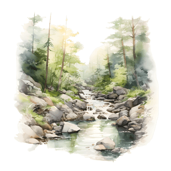 serene watercolor painting of a flowing river winding through a lush forest, with trees lining the banks and rocks scattered throughout. png
