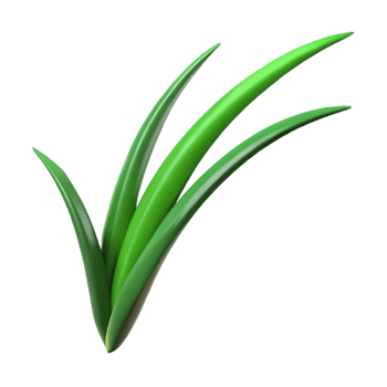 elegant vintage Green blade of grass detailed png