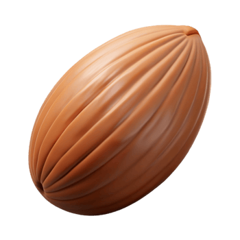 elegant classic Single almond nut authentic png