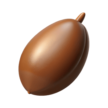 beautiful creative Brown seed pod high resolution png