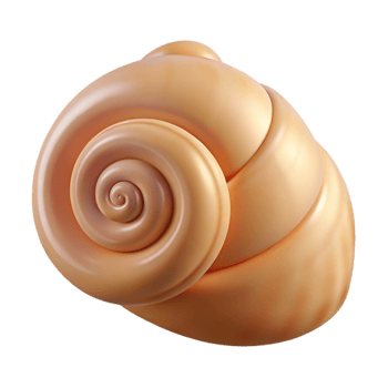 magnificent vintage Single seashell, spiral shape high quality png