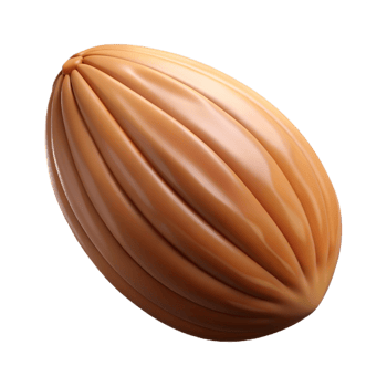 serene traditional Raw almond nut original png
