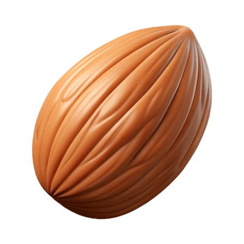 beautiful rustic Raw almond nut exclusive png