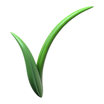 impressive vintage Single blade of grass original png