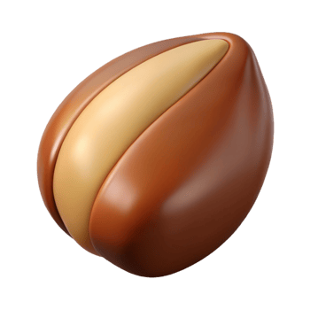vibrant traditional Brazil nut, whole high resolution png