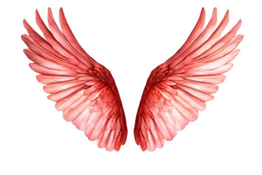 Wings of a Bird with Bright Red Feathers, Cut Out Transparent png