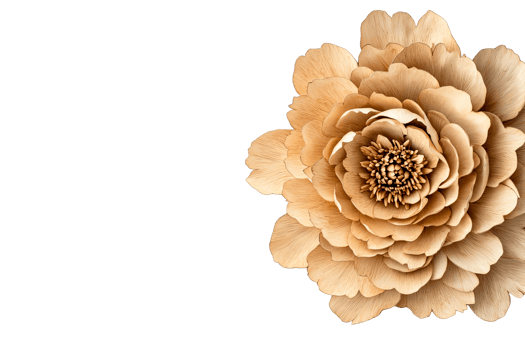 Beige flower, intricate petals, ornate design, detailed texture, floral beauty, cut out transparent png