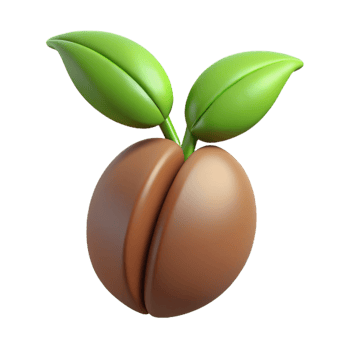 wonderful traditional A single coffee bean sprout, high quality png