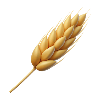 elegant vintage One ear of wheat detailed png