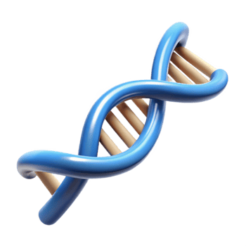 beautiful modern Biotechnology DNA strand helix genuine png