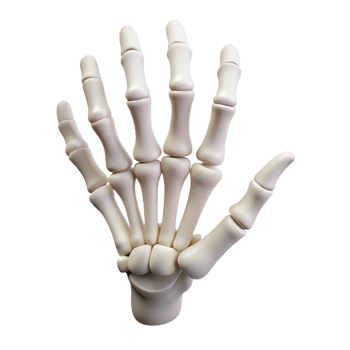 impressive abstract A skeleton hand, reaching out, detailed png