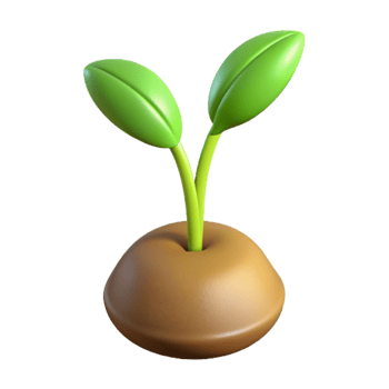 stunning rustic One sprouting seedling high resolution png