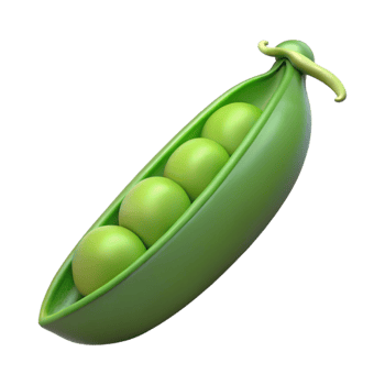 vibrant minimalist One pea pod high quality png