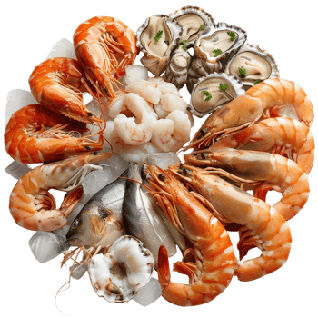 Fresh Seafood Platter with Shrimp, Oysters, Clams and Fish Over Ice Garnished with Herbs png