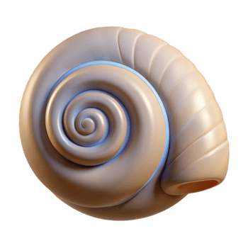 wonderful artistic Seashell, spiral shape premium png