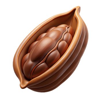 extraordinary minimalist Cocoa bean pod, open 4K png