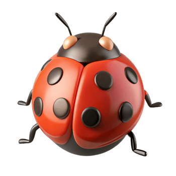 magnificent classic Close-up of a ladybug professional png