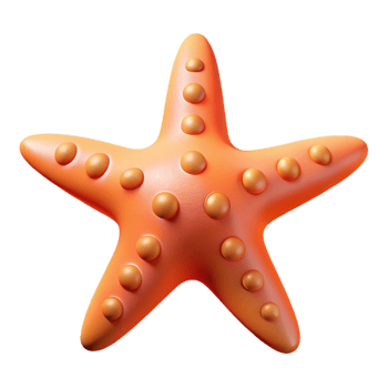extraordinary modern A starfish with five arms exclusive png