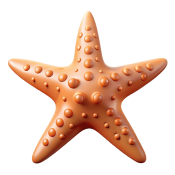 magnificent creative A starfish with five arms high quality png