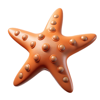 wonderful creative A starfish with five arms premium png